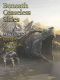 [Magazine of Literary, Adventure, Fantasy 162] • Beneath Ceaseless Skies #162